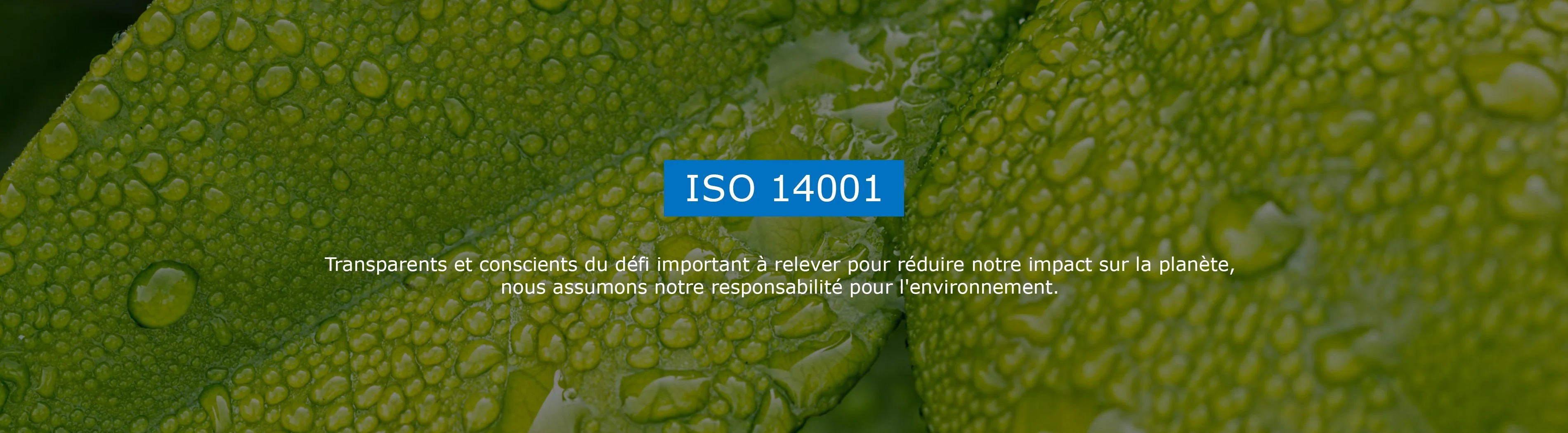 ISO 14001 - Final Advanced Materials