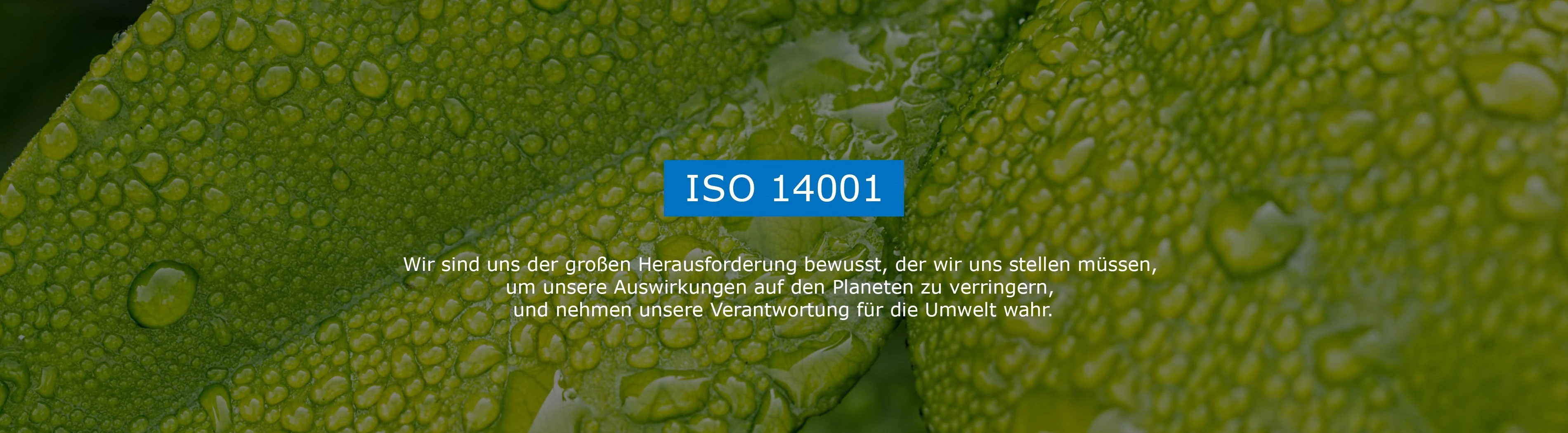 ISO 14001 - Final Advanced Materials